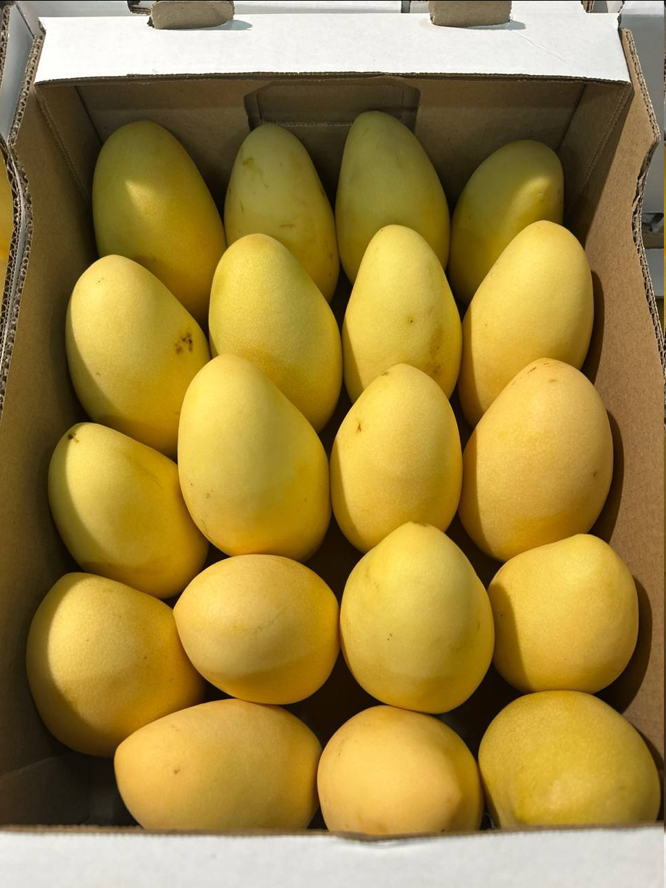 Манго Тайское