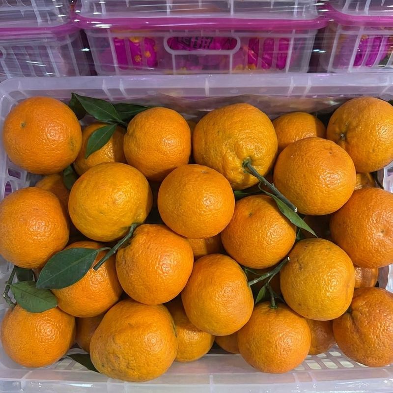 Мандарины Папаган