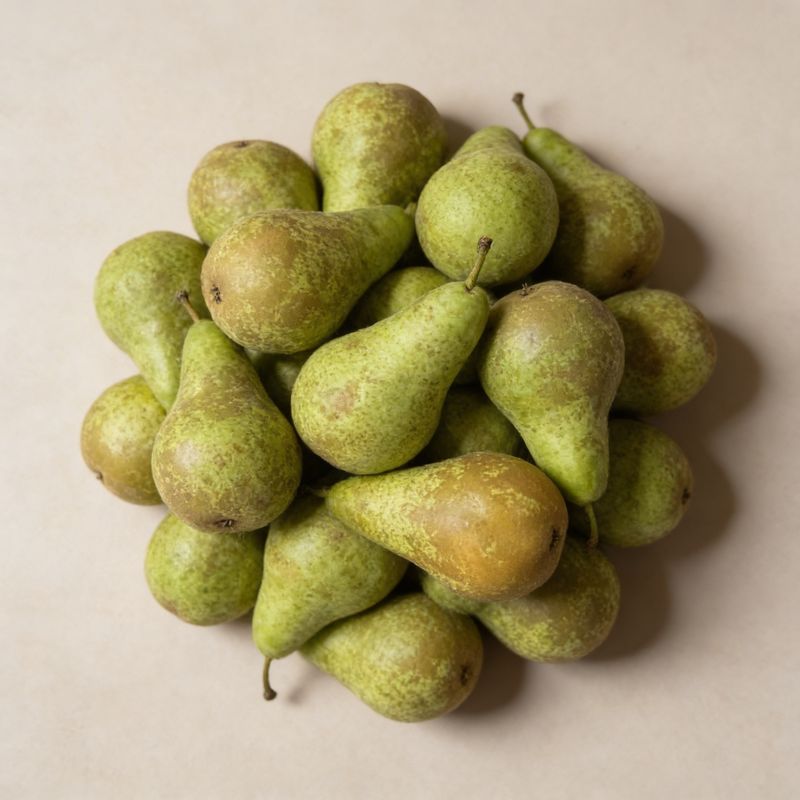 Груша Конференция